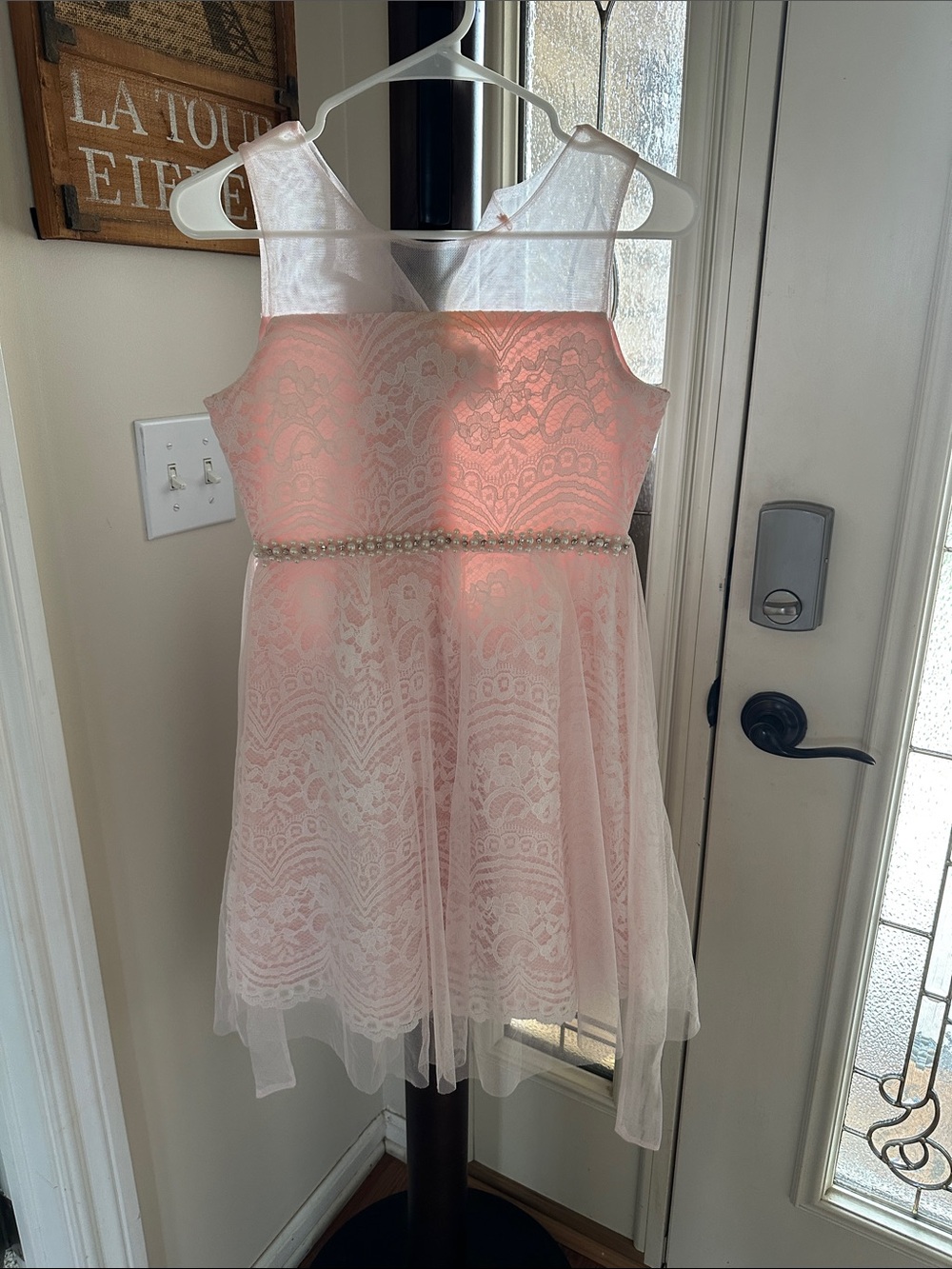 Pink Lace Fit-and-Flare A-Line Dress with Beaded Waist